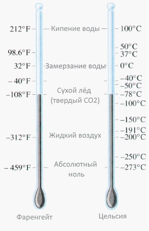 готовый амурский салат в миске