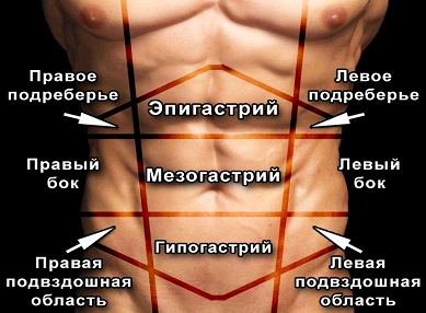 географические ориентиры, локализация боли, на передней брюшной стенке
