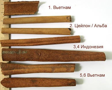 разные виды корицы