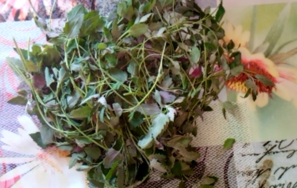markirovka