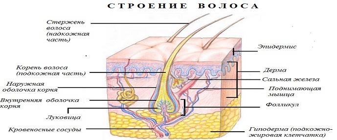 markirovka